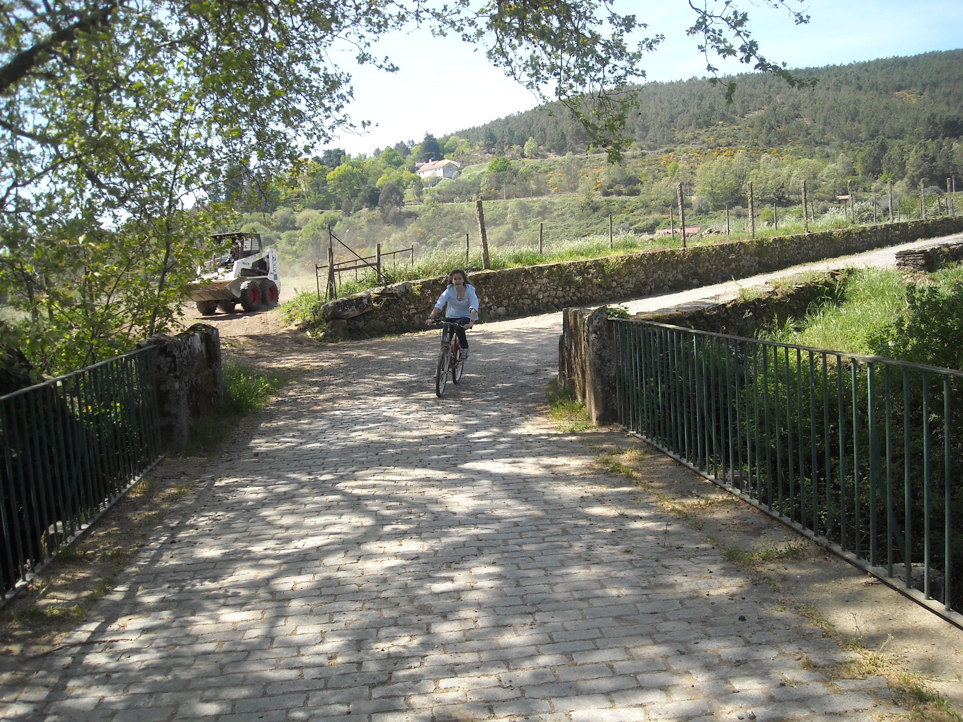 A Quinta
